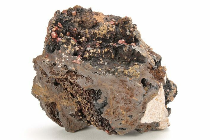 Small, Red Vanadinite Crystals on Manganese Oxide - Morocco #211999